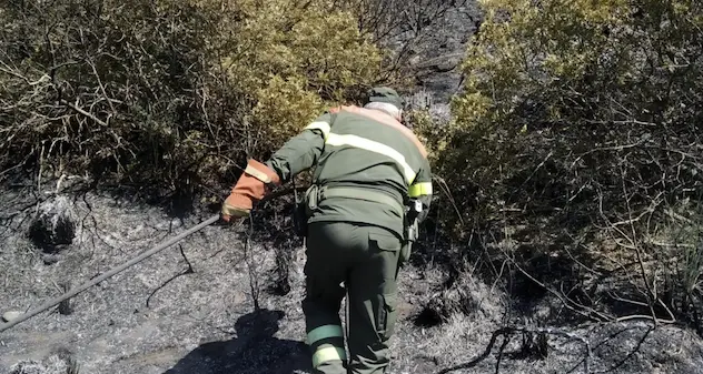 Incendi in Sardegna: 17 nella giornata di oggi