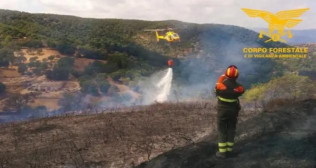 Ancora fiamme in Sardegna: allarme a Sassari e Chiaramonti