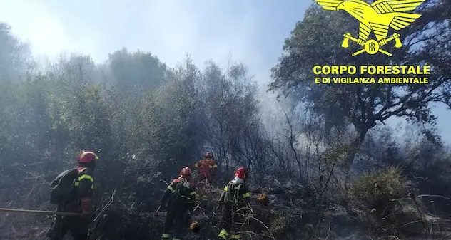 Incendi in Sardegna: 22 nella giornata di oggi