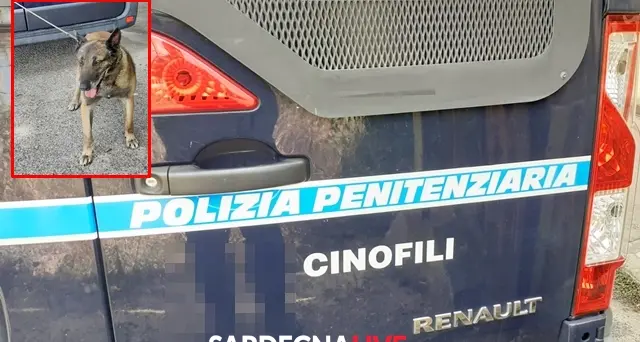 Ragazzina minorenne scoperta con 60 dosi di droga nelle parti intime all’ingresso del Carcere minorile