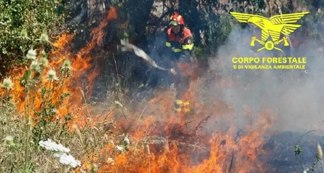 Fiamme nelle campagne di Torpè