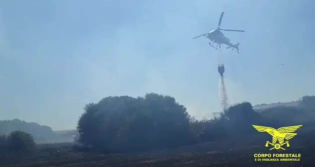 Incendio a Mogoro, interviene la Forestale