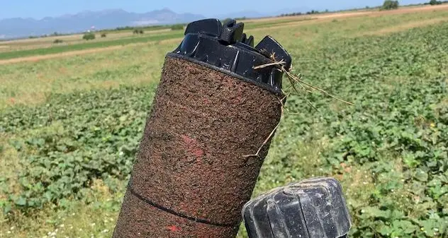 Coldiretti Cagliari denuncia: “L’acqua sporca rende impossibile l’irrigazione dei campi”