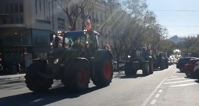 Protesta trattori, lettera a Todde: “Subito assessore e incontro”
