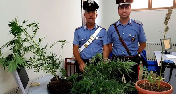 Uomo di 46 anni arrestato dai Carabinieri con l'accusa di detenzione e spaccio di stupefacenti