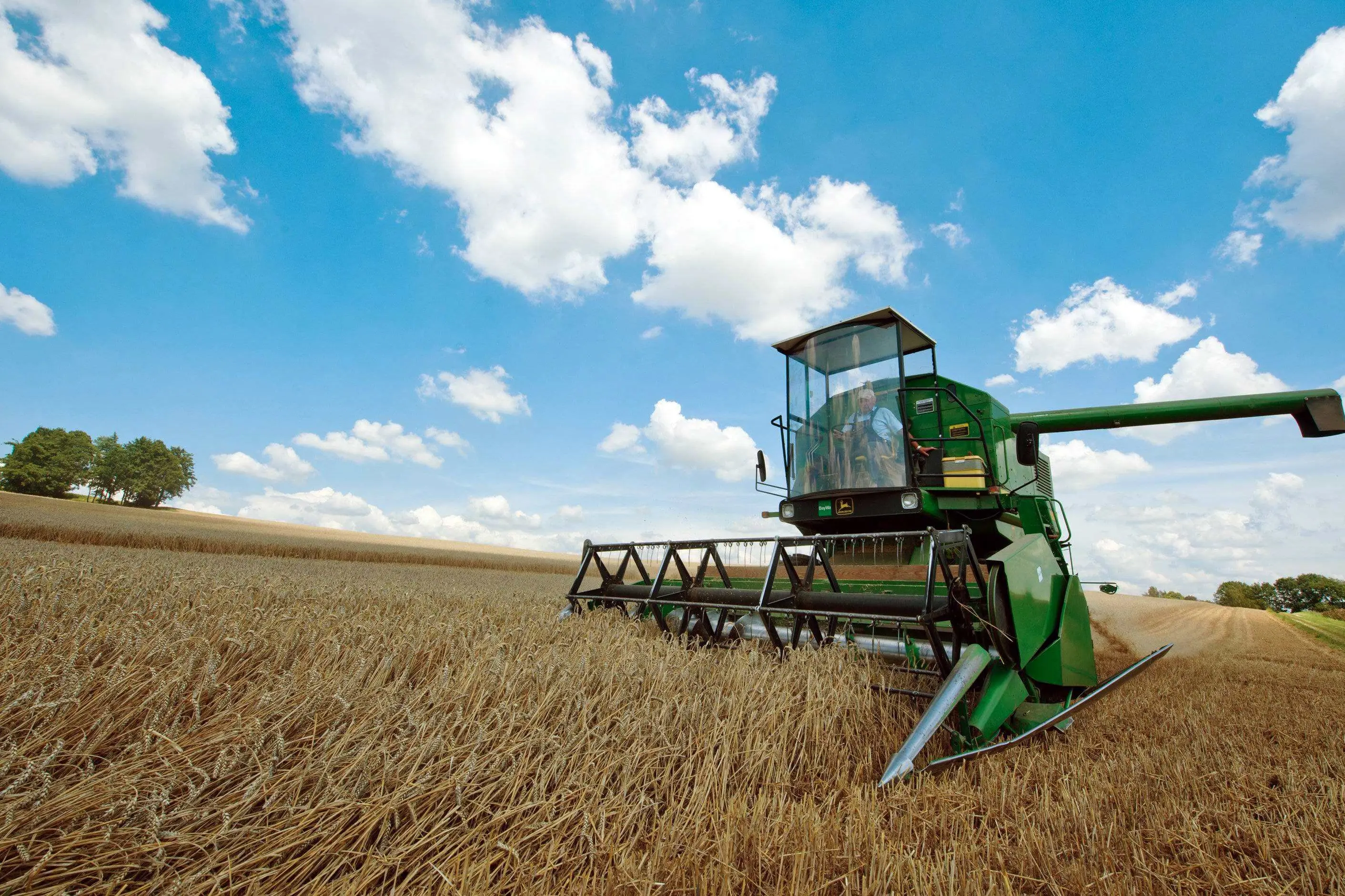 A combine harvester harvests wheat in a field near Schnatting,\\u00A0Germany, 26 July 2011. Farmers are using the dry weather to harvest the grain. Photo: Armin Weigel  -ALLIANCE-INFOPHOTO