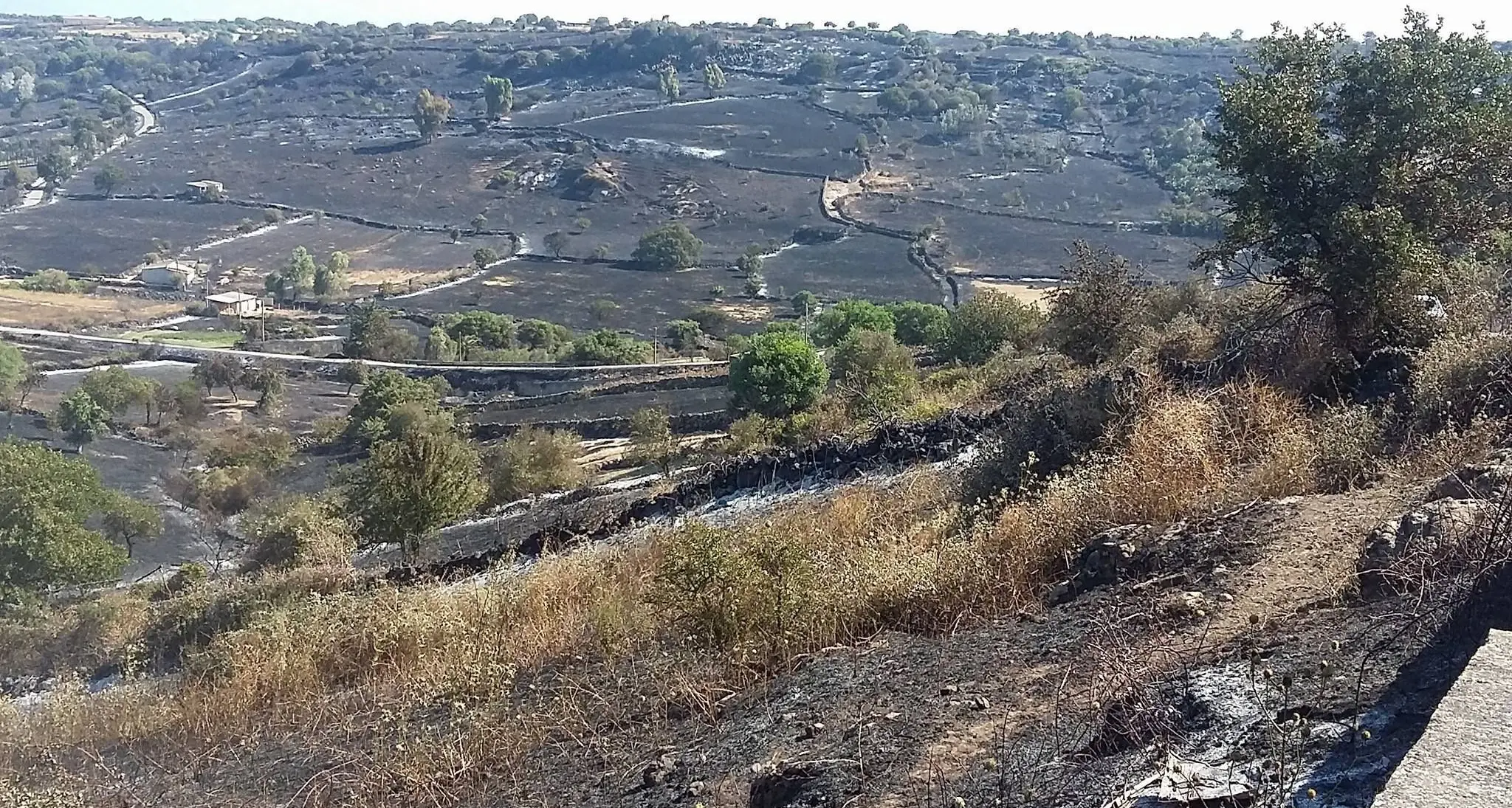 Incendio a Sedilo. La denuncia di Mauro Pili (Unidos): \"Sbagliate tutte le indicazioni sui rischi\"