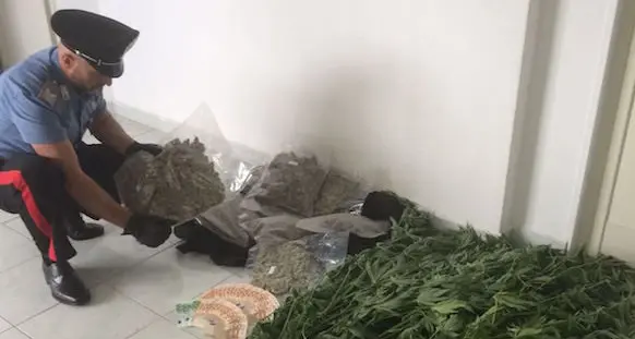 Tre kg di marijuana in casa: arrestati due giovani
