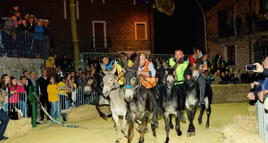 Il grande evento dell'estate in Barbagia: a Ollolai si rinnova l'appuntamento con il Palio degli Asinelli