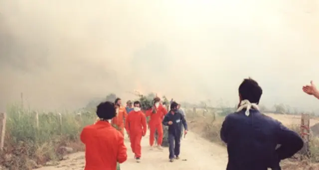 Giornata delle vittime degli incendi, sulla collina di Curraggia morirono 9 persone e 15 rimasero ferite