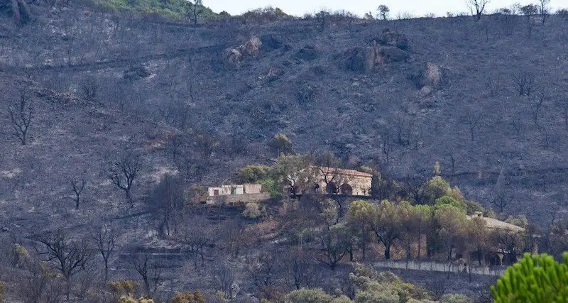 Incendi. Ci sarebbe un testimone oculare sul rogo di San Gregorio