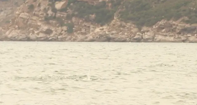 Turista annega a Porto Ferro