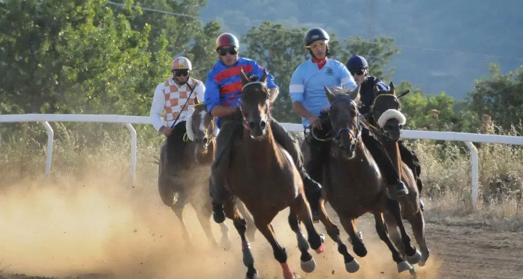 Grande attesa per il Palio di Fonni. Gli organizzatori dell'evento hanno lavorato sodo per garantire uno spettacolo di alto livello