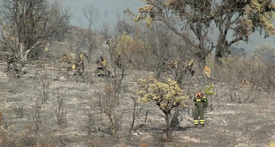 Incendi in Sardegna, Claudia Zuncheddu: “Colpa di politiche nazionali e regionali miopi e irresponsabili”