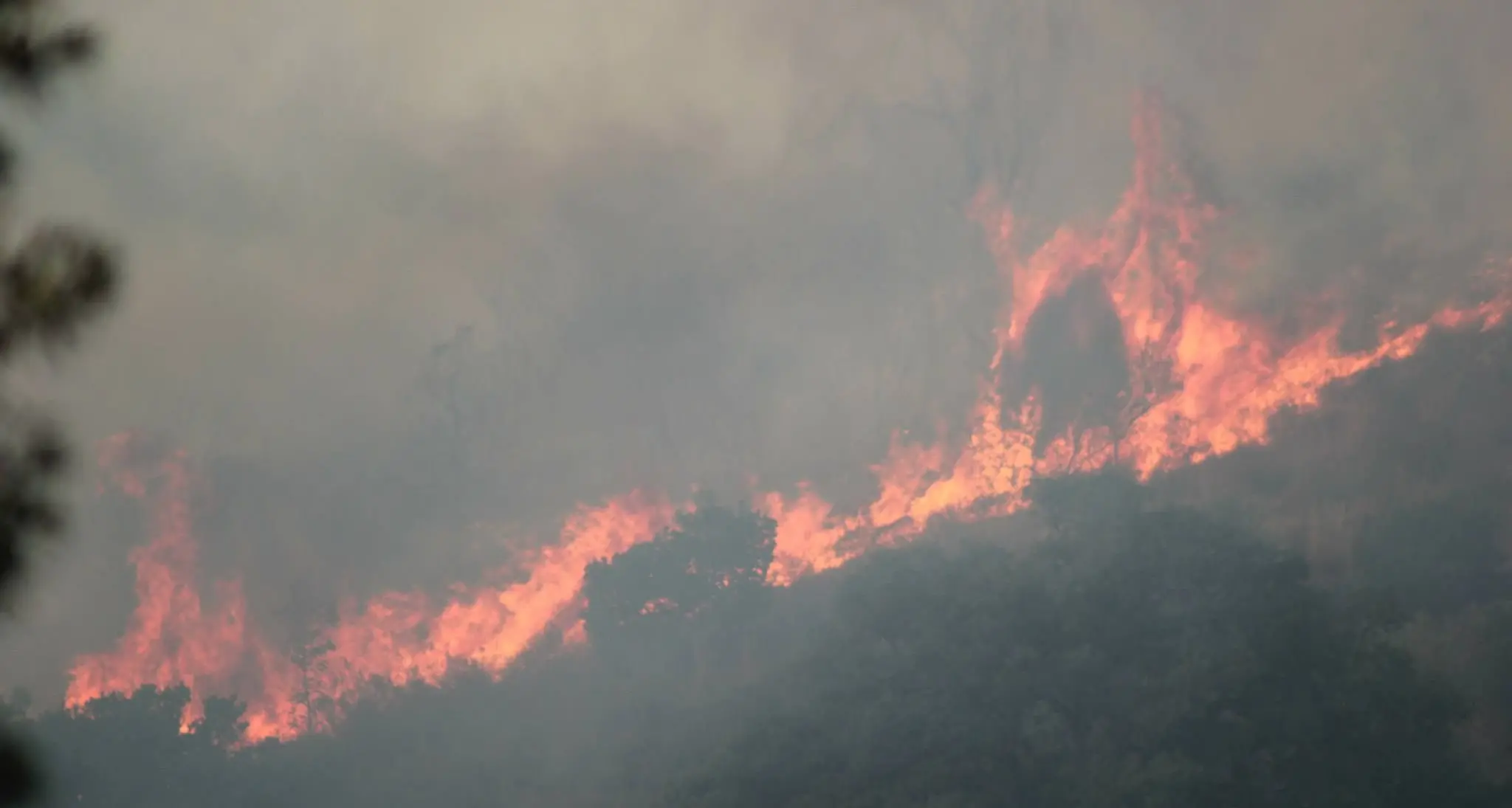 Incendi Sardegna, Presidente Regione Cappellacci contestato. SERVIZIO TG SKY