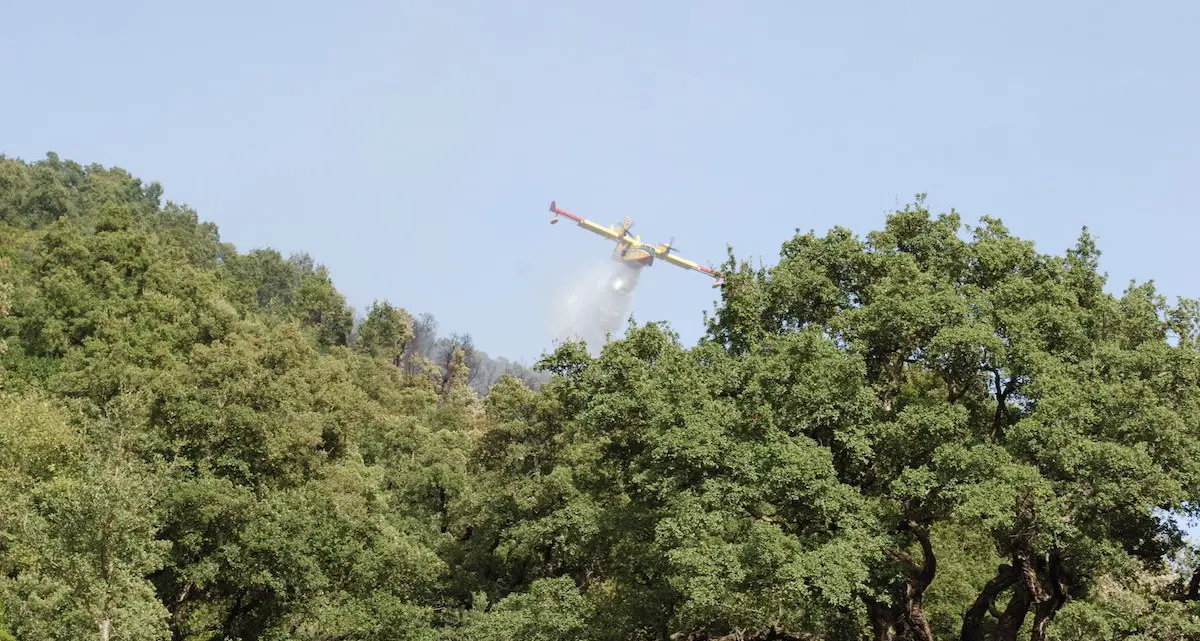 Sono ricoverati in ospedale i due uomini del Corpo forestale rimasti ustionati durante le operazioni di spegnimento dell'incendio divampato a Bolotana