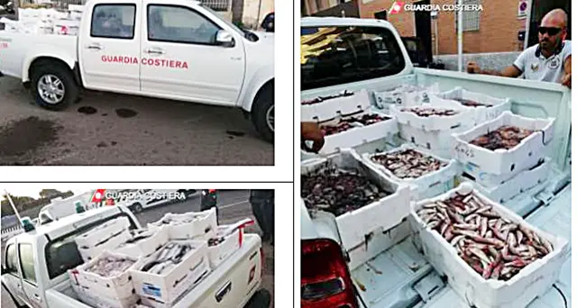 Blitz della Guardia Costiera, sequestrati oltre 300 Kg di pesce irregolare: era destinato ai ristoranti locali