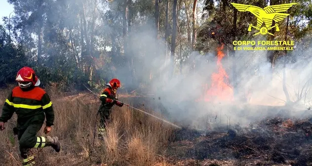 Brucia la Sardegna: 30 gli incendi registrati oggi