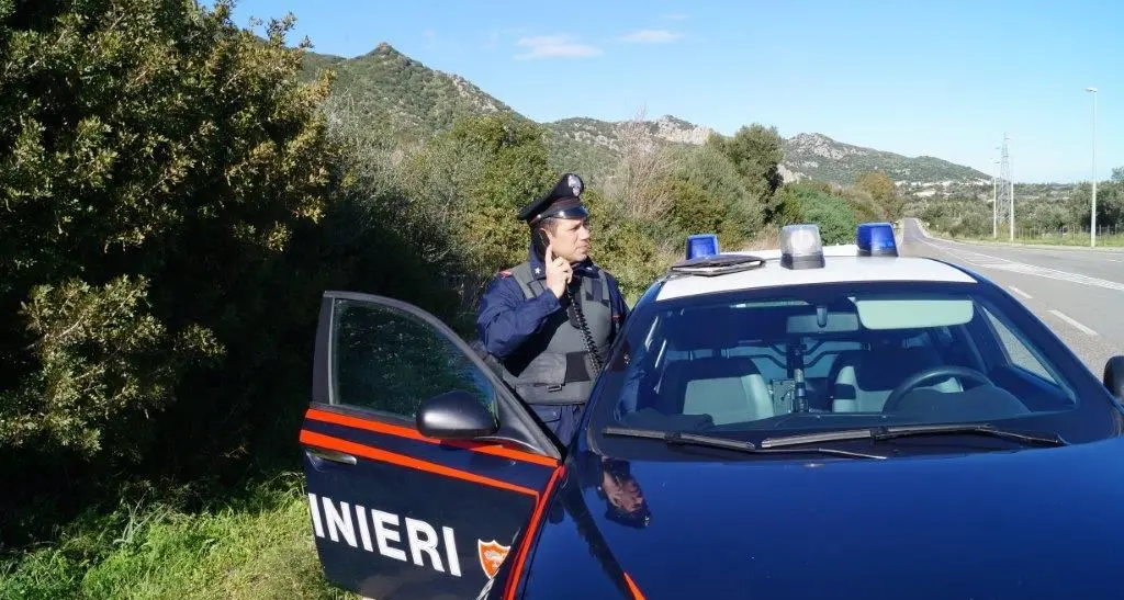 Stroncato traffico internazionale di stupefacenti tra Italia, Olanda ed Albania