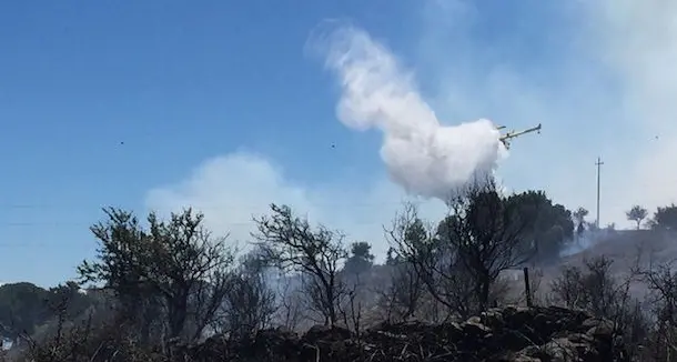 Monte Limbara in fiamme: grosso incendio nella zona di Balascia