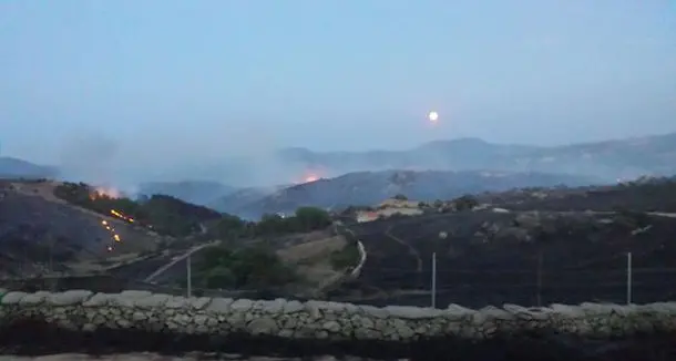 Incendio tra Tempio e Luras: oltre 700 ettari di macchia mediterranea distrutta dal fuoco