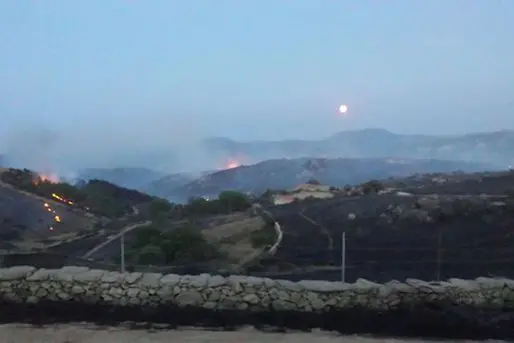 Incendio in Gallura