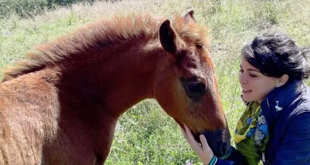 Ragazza di 23 anni cade da cavallo e muore. Era considerata un talento dell'endurance equestre