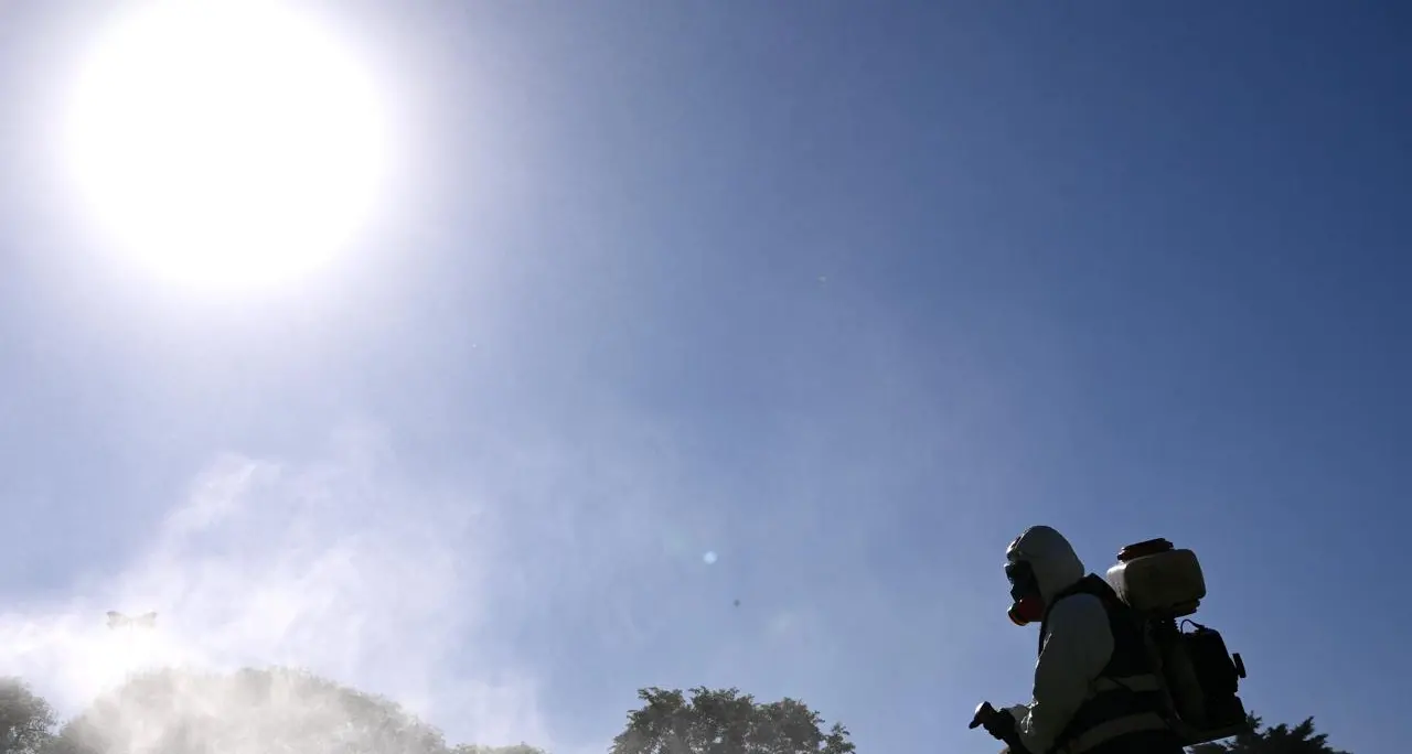 Presidente virologi, 'in Italia rischio focolai Dengue sempre più consistenti'