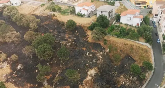 Incendi a Sarule e Orgosolo: in fumo 100 ettari. Animali arsi vivi