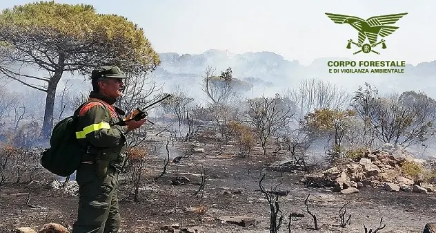 Sud Sardegna in fiamme, in campo il Corpo forestale