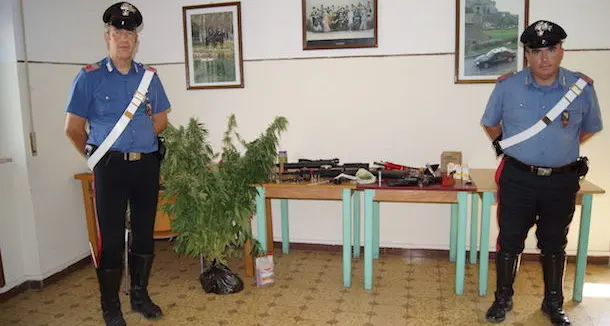 Piantagione di cannabis nel giardino di casa e detenzione illegale di armi da fuoco: arrestato 46enne