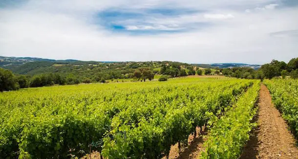 I vini della cantina del Mandrolisai conquistano il Mondial des Vins Extrêmes in Valle D'Aosta