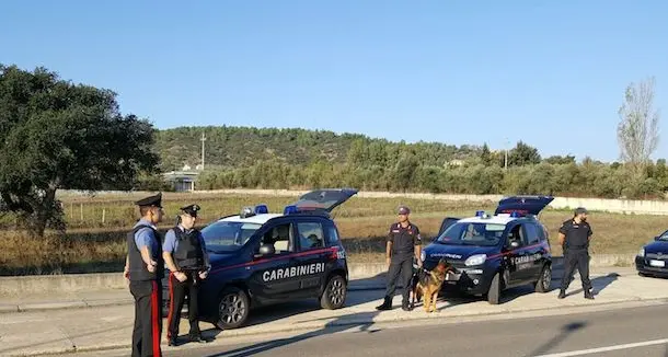 Nasconde pistola e munizioni in un vecchio forno da cucina: arrestato allevatore