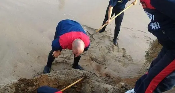 Cranio umano sulla spiaggia di Nora