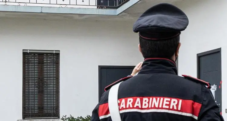 Padova, 83enne aggredita dai suoi 5 cani: le amputano le braccia