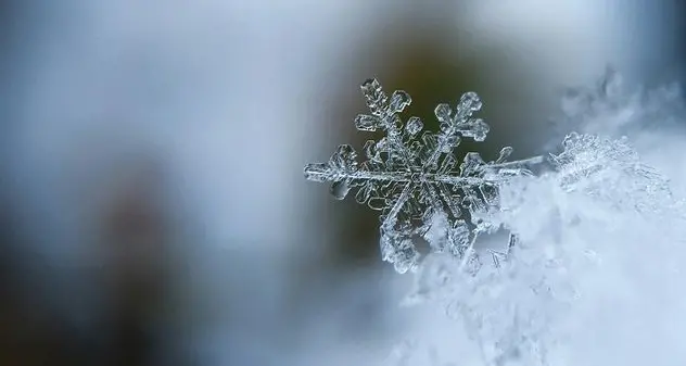 In Sardegna torna la neve: sorpresa bianca sul Gennargentu