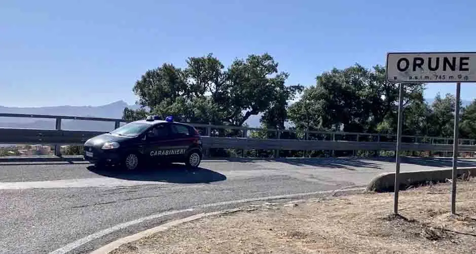 Uccisero vicino di pascolo: gemelli di Orune condannati all'ergastolo
