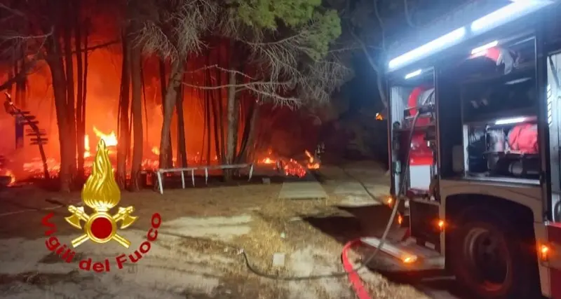 Siniscola. Brucia nella notte la pineta a Capo Comino