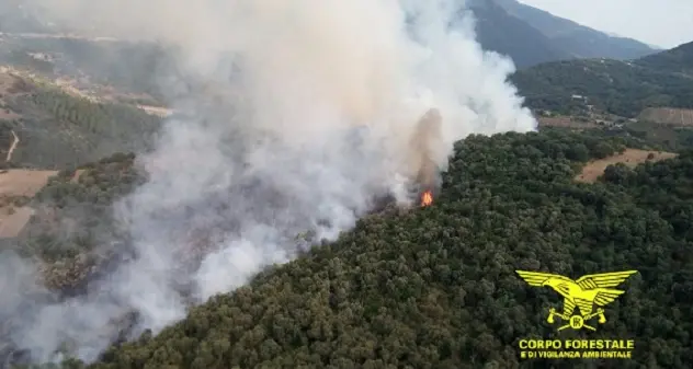 Altri due incendi nel pomeriggio: fiamme a Buddusò e Teti