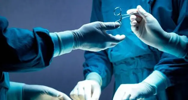 Donazione di rene a 77 anni per la figlia: un gesto d'amore e coraggio a Palermo