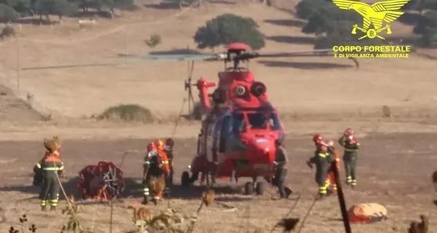 Incendio a Bottidda, fiamme alle porte del centro abitato