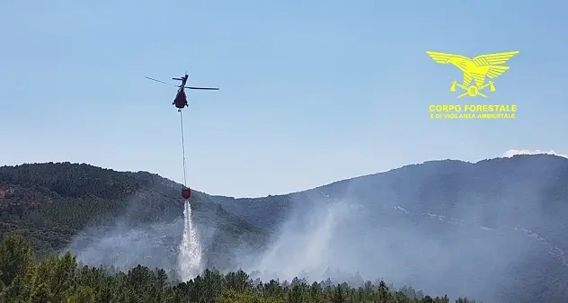 Rogo di Bottidda, pericolo riaccensioni. I forestali monitorano la situazione