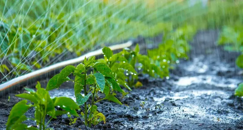 Pattada: via ai lavori nella diga sul rio Mannu, più acqua per le aziende