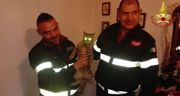 Gatto incastrato nella canna fumaria da un giorno: salvato dai Vigili del fuoco