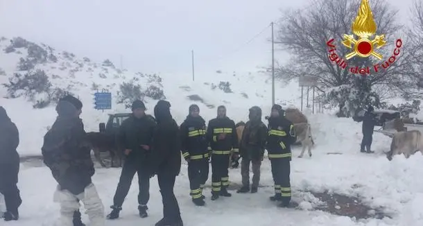 Recuperati i quattro pastori dispersi a Talana