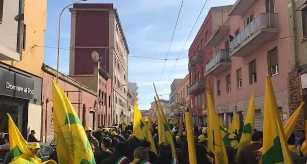 I pastori scendono in piazza a Cagliari:\"Basta promesse, vogliamo fatti\"