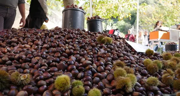 Addio a uno dei promotori della Sagra delle Castagne: si è spento Carlo Curreli