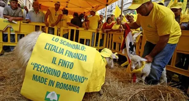 Prezzo del latte. I Pastori sardi scendono in piazza