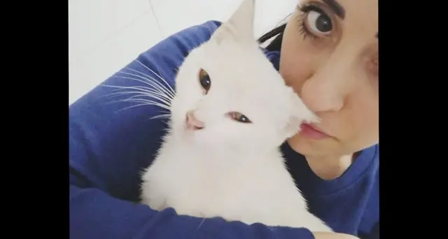 Nebula, la gattina di due anni uccisa da un proiettile ad arma compressa