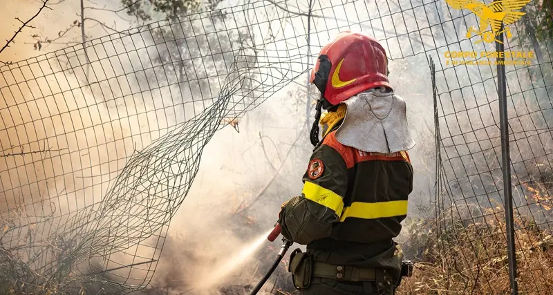 Incendio a Cardedu, forestale bruciato durante lo spegnimento